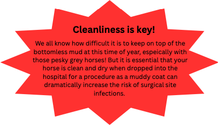 Cleanliness is key! image