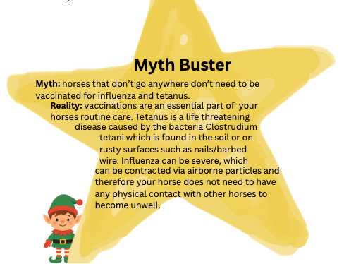 myth-buster