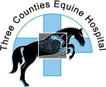 TCEH logo