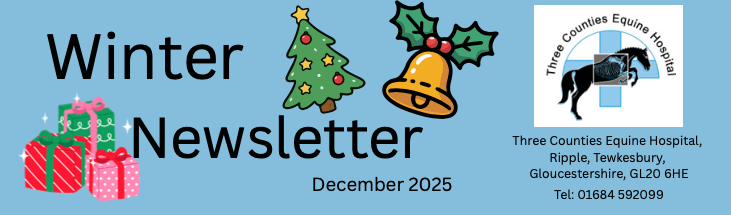 Winter newsletter